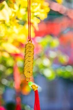 bầu cua có nên chơi không